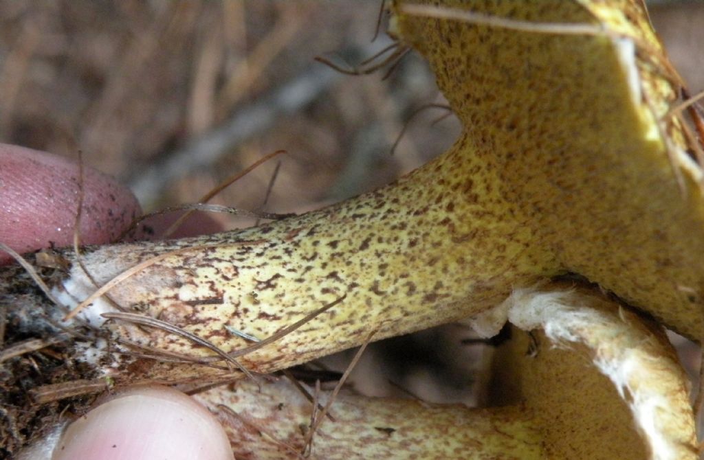 Due ipotesi, inadeguate